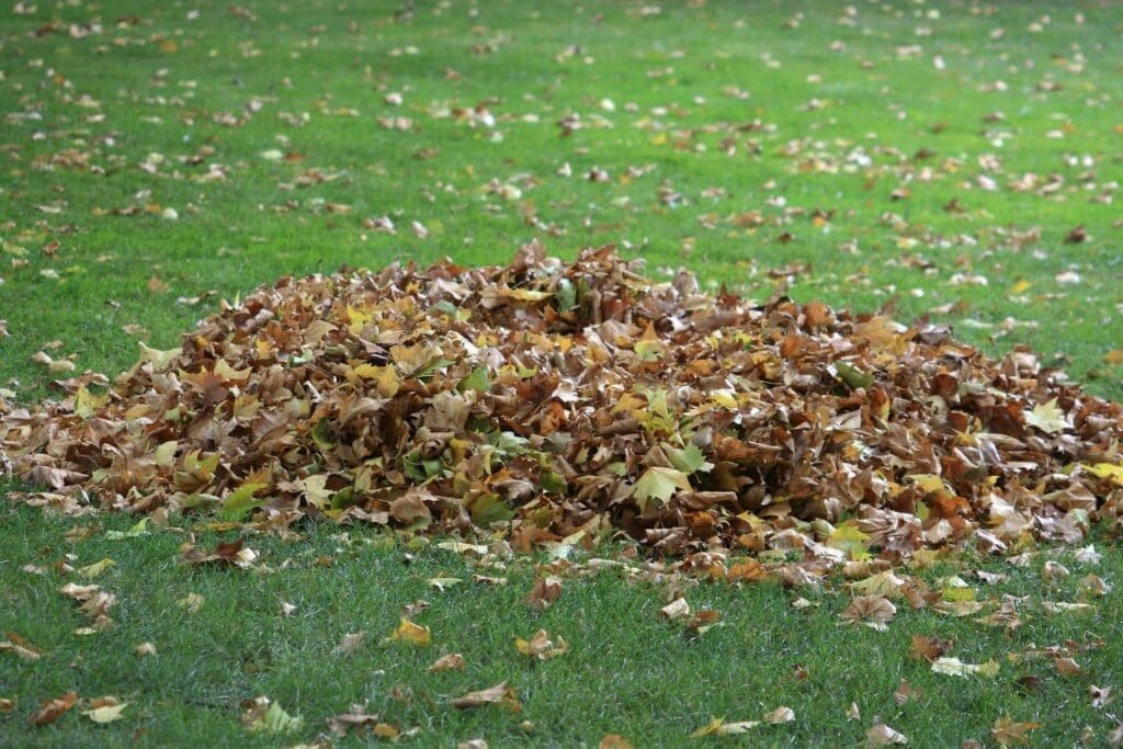 How To Prepare A Garden Bed For Fall And Winter