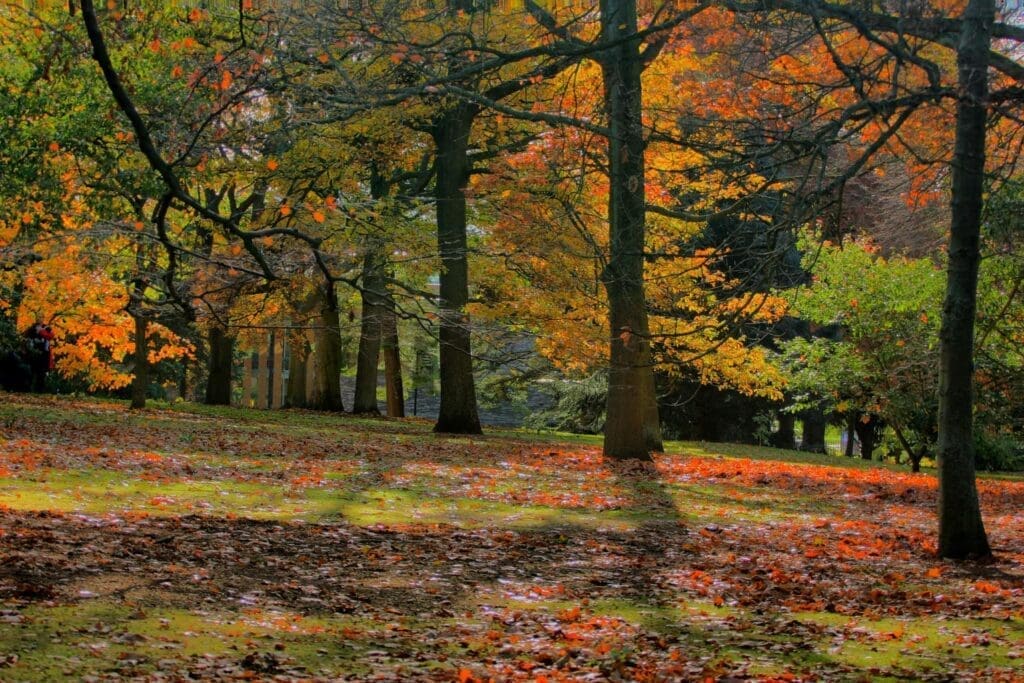 How To Prepare A Garden Bed For Fall And Winter