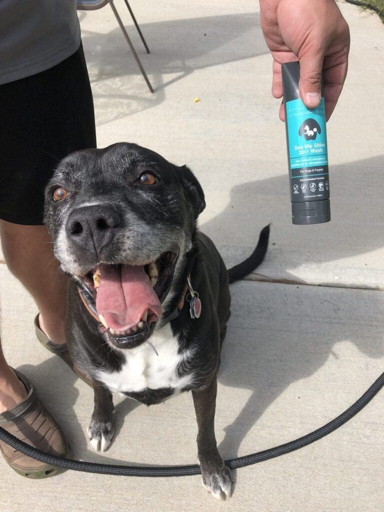 Pet Shampoo