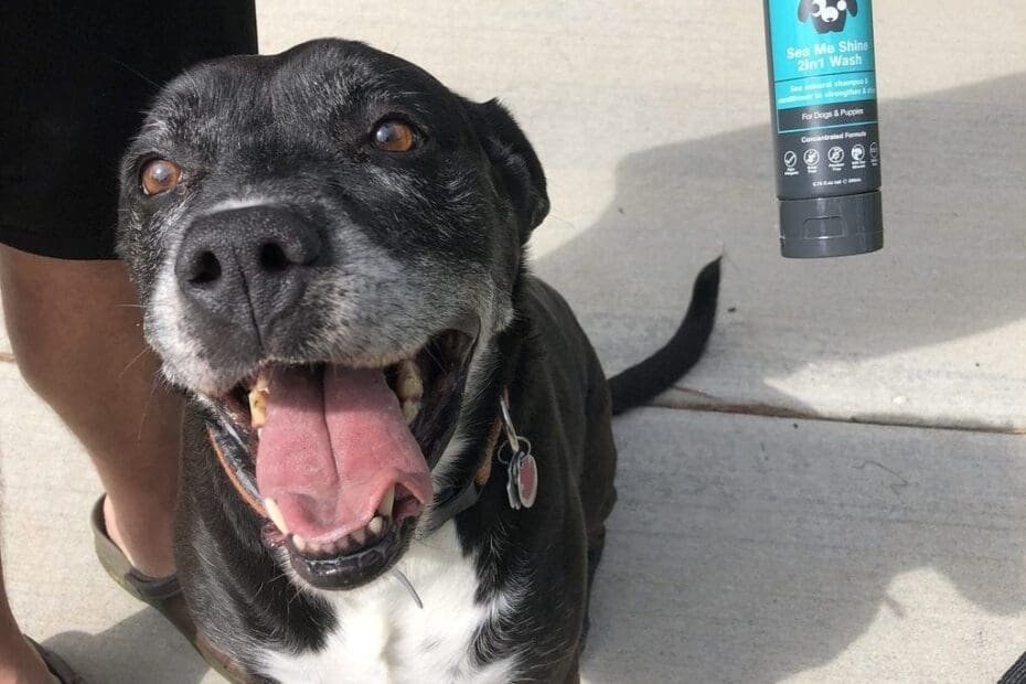 Pet Shampoo