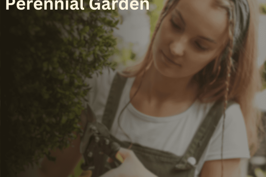 Perennial Garden
