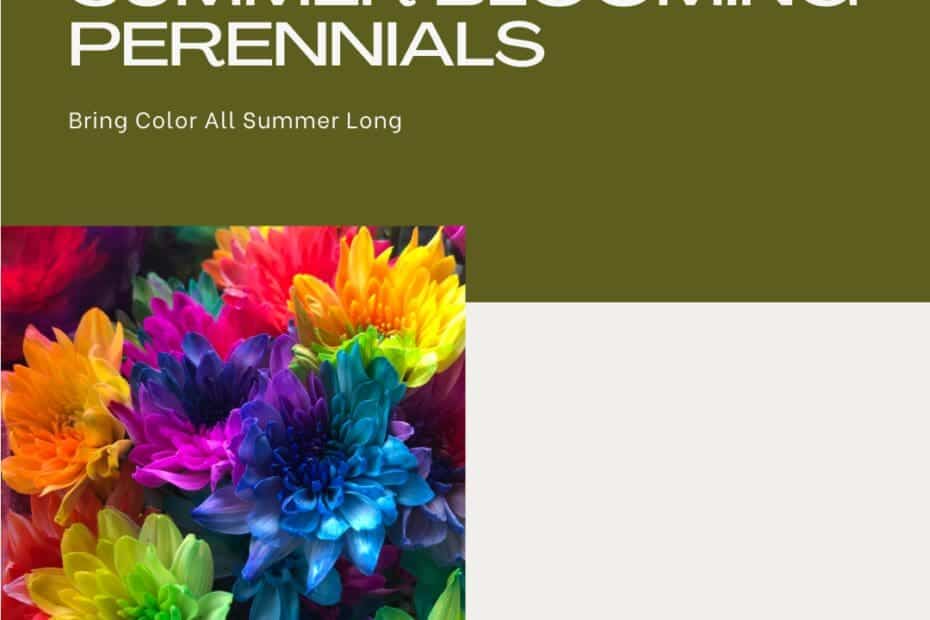 The Best Perennial Plants That Bloom All Summer