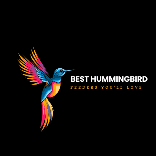 best hummingbird feeders